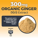 Viva Naturals Turmeric and Ginger Supplement in a lifestyle setting