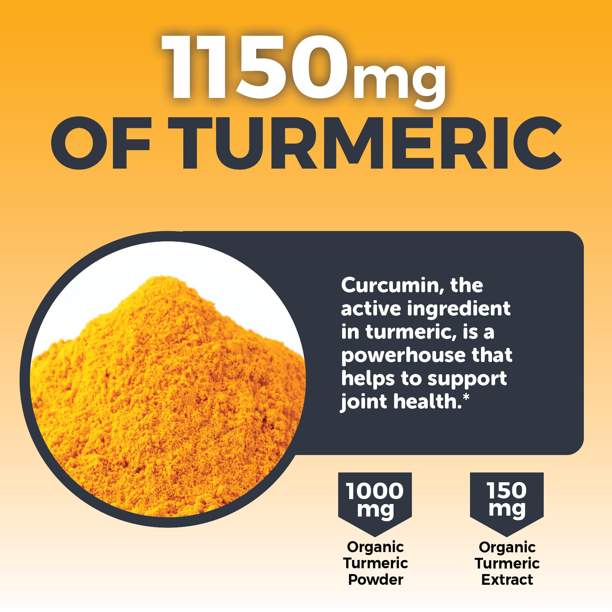 Viva Naturals Turmeric and Ginger Supplement ingredients list