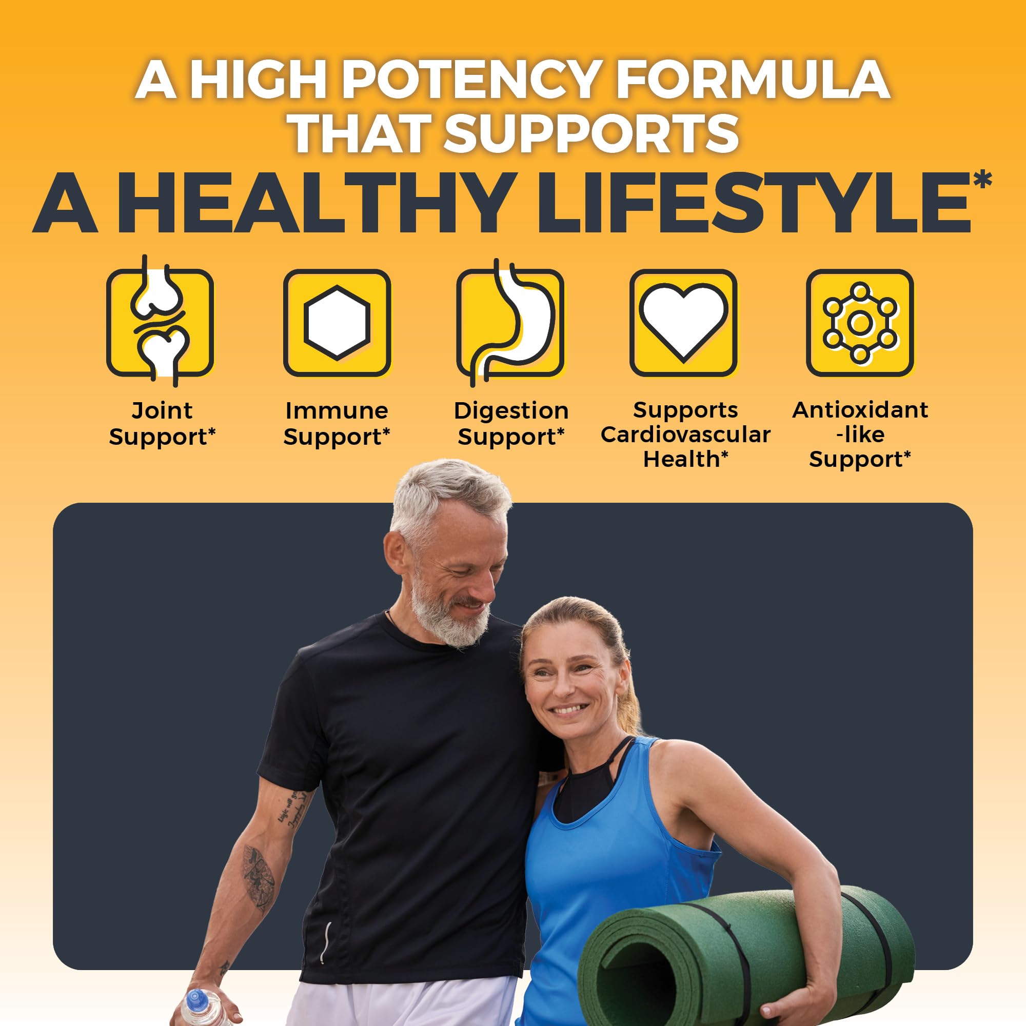Viva Naturals Turmeric and Ginger Supplement tablet close-up