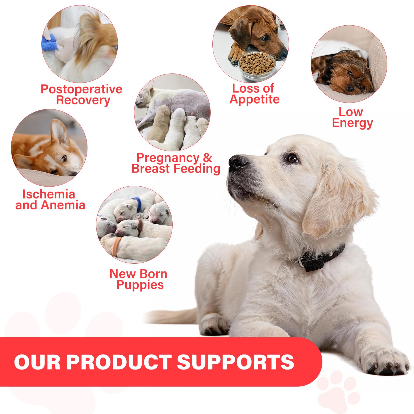 VivaElixir Iron Supplement for Dogs chewable tablet on a wooden surface