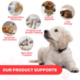 VivaElixir Iron Supplement for Dogs chewable tablet on a wooden surface
