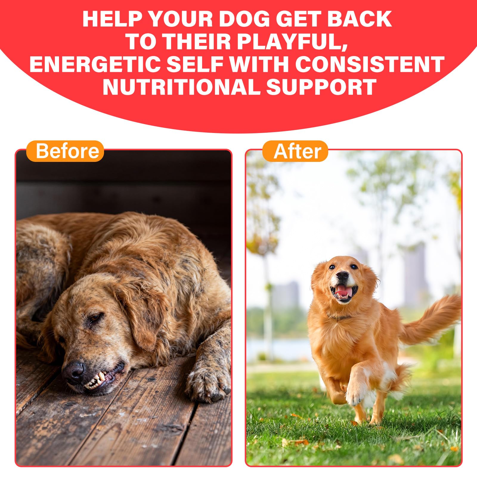 VivaElixir Iron Supplement for Dogs ingredients list on packaging