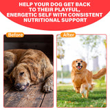 VivaElixir Iron Supplement for Dogs ingredients list on packaging