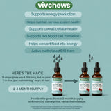 vivchews Methyl B12 Liquid Drops showing serving size