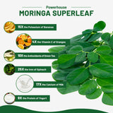 vivcmin Moringa Capsules displayed with natural ingredients