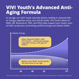 VIVI Youth Resveratrol Supplement ingredients list
