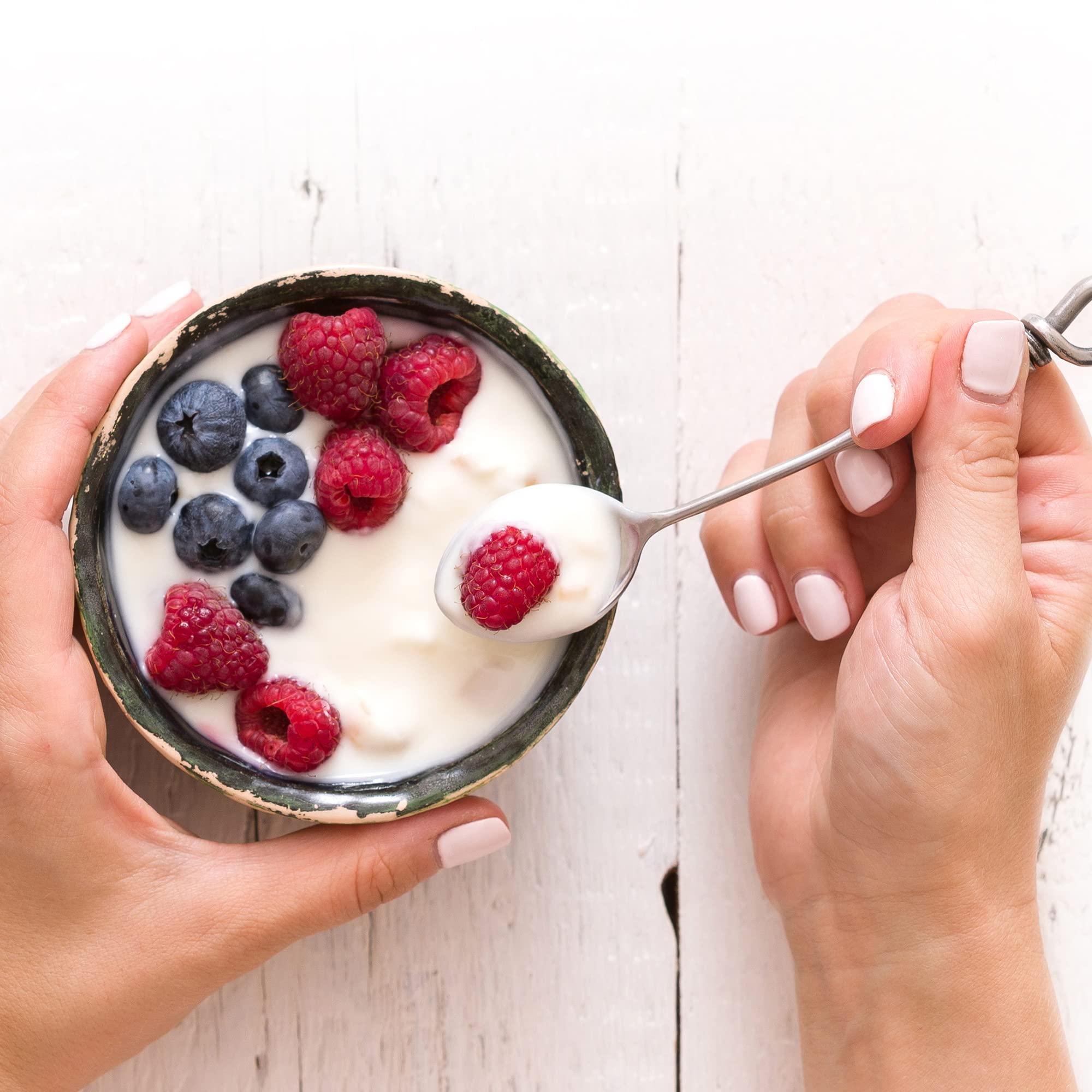 VIVO Probiotic Yogurt Starter preparation process