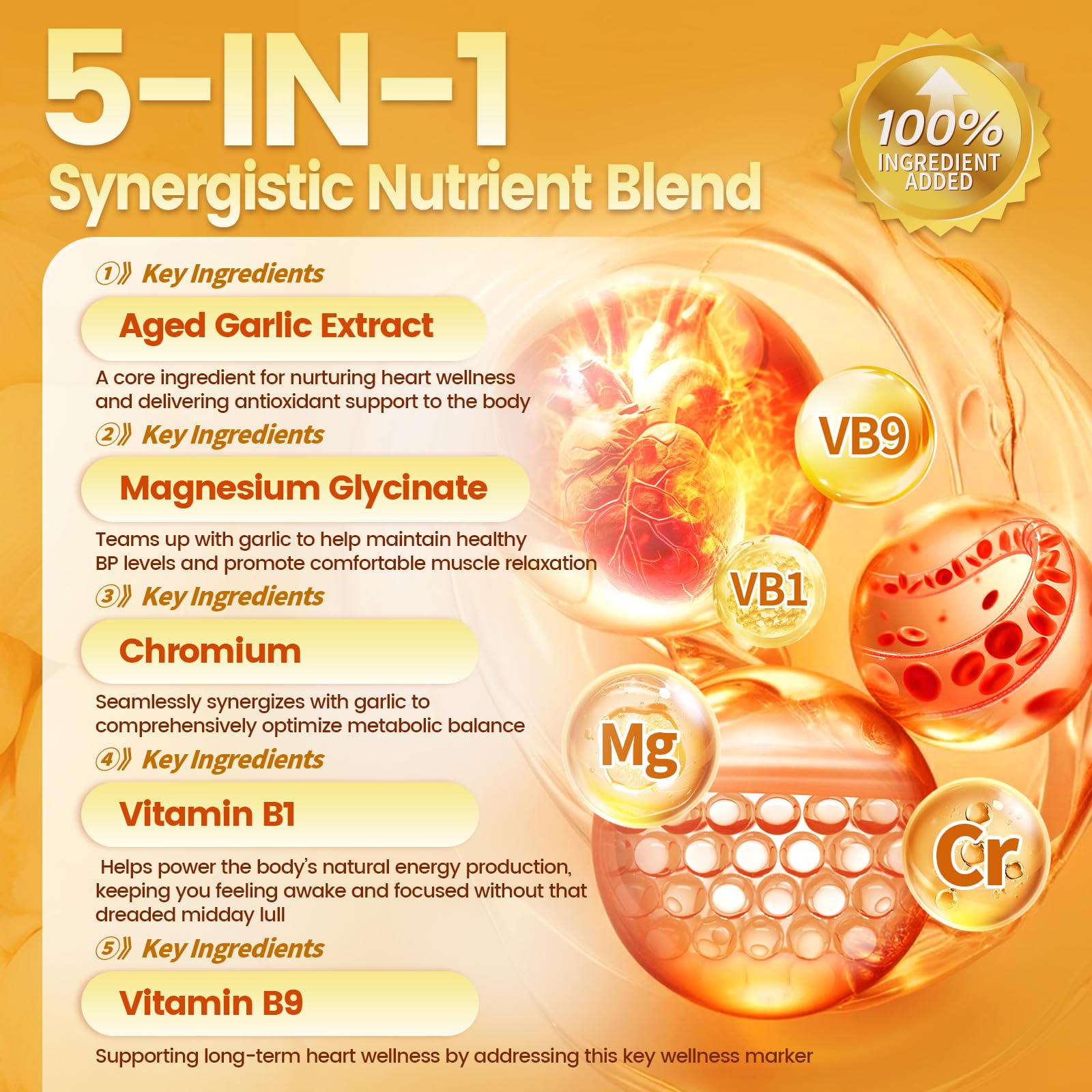 VivoNu Aged Garlic Extract Softgels back view