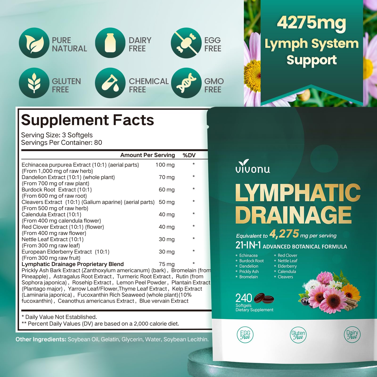 VivoNu Echinacea softgels with daily dosage instructions