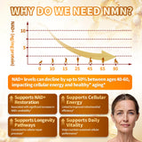 VivoNu NMN Supplement 1000mg Liposomal ingredients list