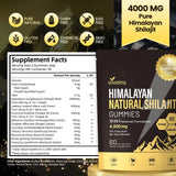 VivoNu Shilajit Gold Gummies displayed with fresh fruit