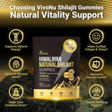 VivoNu Shilajit Gold Gummies packaging details