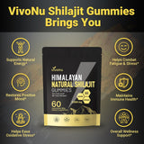 VivoNu Shilajit Gummines close-up of gummines