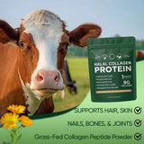 Vlsdoin Halal Collagen Protein Powder mixed in a smoothie