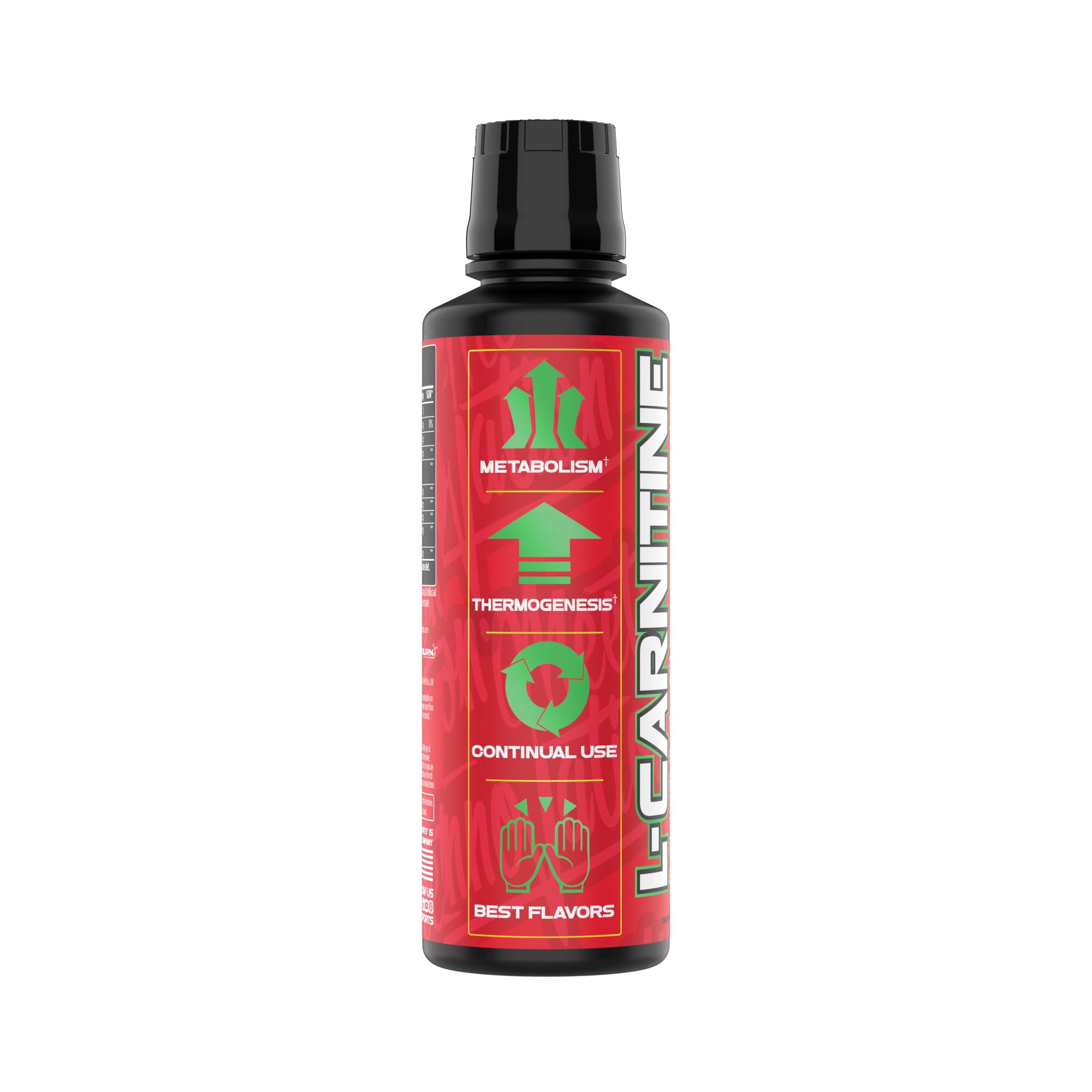 VMI Sports L-Carnitine Heat 454g back view with ingredients