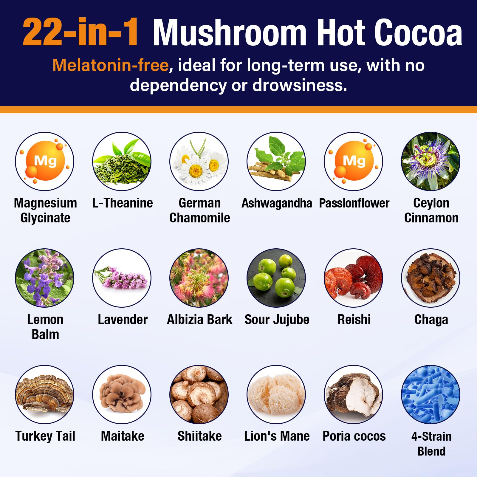Volocatilly Mushroom Hot Cocoa Powder with ingredients displayed