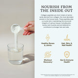 VTC Collagen Peptides Powder nutritional information