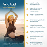 Vykee Nutrition Folic Acid 1,850 mcg DFE capsules in hand