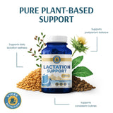 Vykee Nutrition Milk Thistle Lactation Support capsules in hand