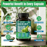Vyxion Soursop 20-in-One Capsules in a lifestyle setting