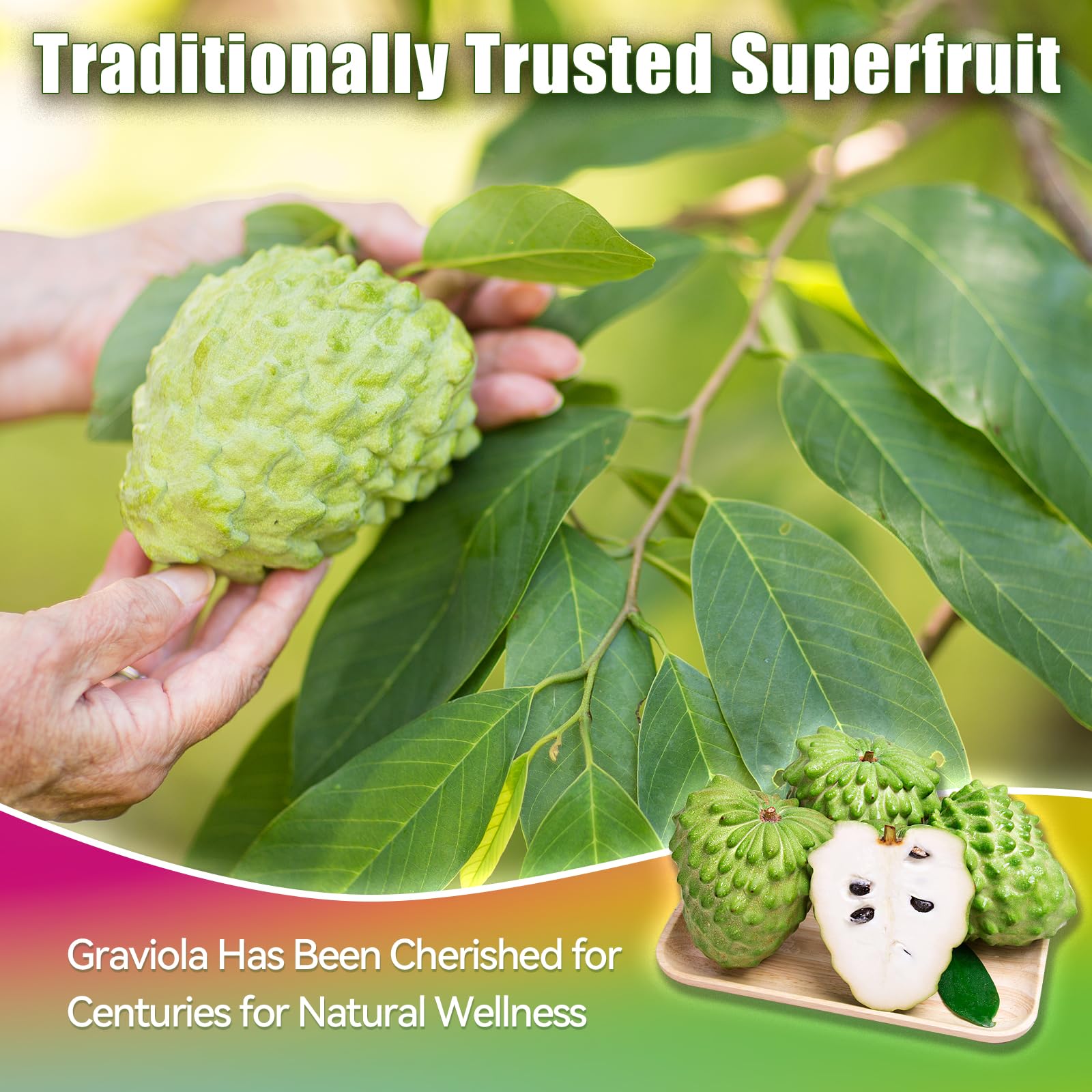 Vyxion Soursop Extract Liquid Drops 2000mg ingredients list