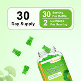 VZOXAINS Ginkgo Biloba Gummies with fresh apples