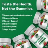 WACHRAY Magnesium Glycinate & L-Threonate Supplement with fruit