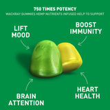 WACHRAY Nutrition Omega 3-6-9 Gummies nutritional information