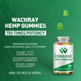 WACHRAY Nutrition Omega 3-6-9 Gummies packaging side view