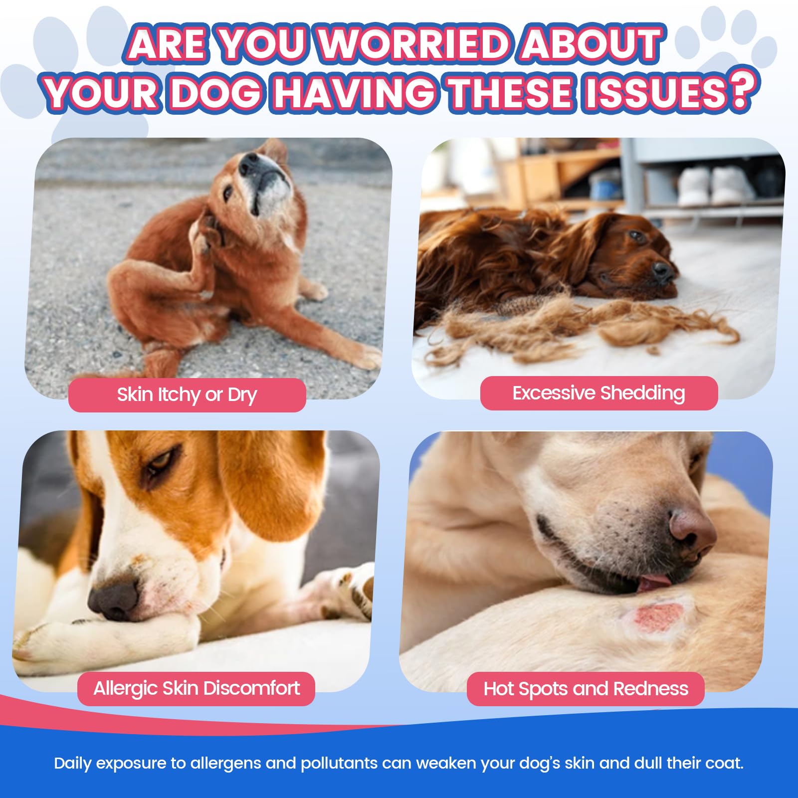 Wagmee Omega-3 Skin & Coat Supplement for Dogs dual-texture chews