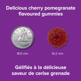 Webber Naturals Melatonin Gummies 10mg packaging