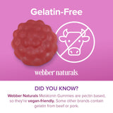 Webber Naturals Melatonin Gummies 10mg with fruit background