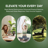WEERSHUN KOVA Rhodiola Rosea capsules in a daily supplement organiser