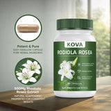WEERSHUN KOVA Rhodiola Rosea capsules with a glass of water