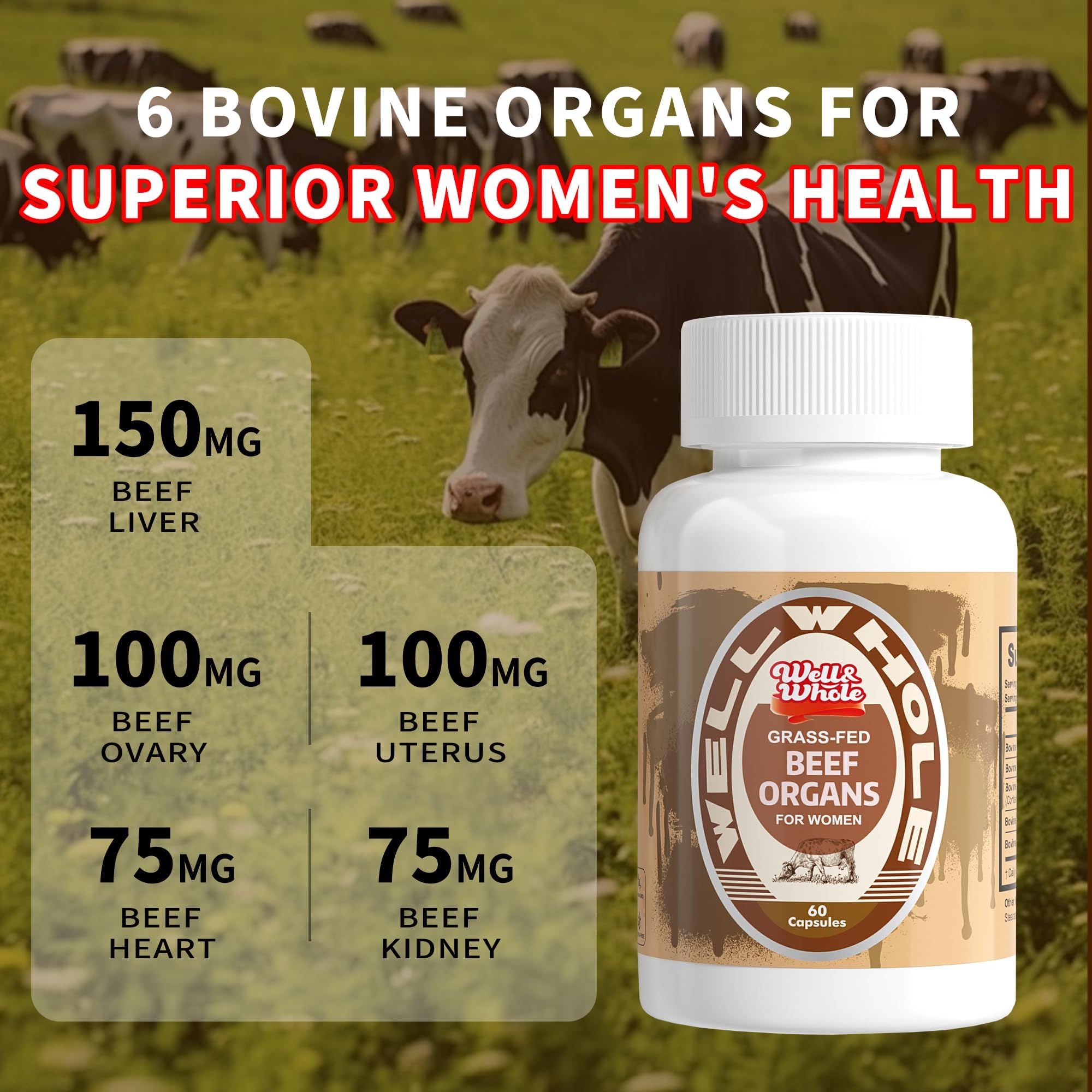 Well&Whole Beef Organ Supplement for Women 500mg capsules with a measuring spoon