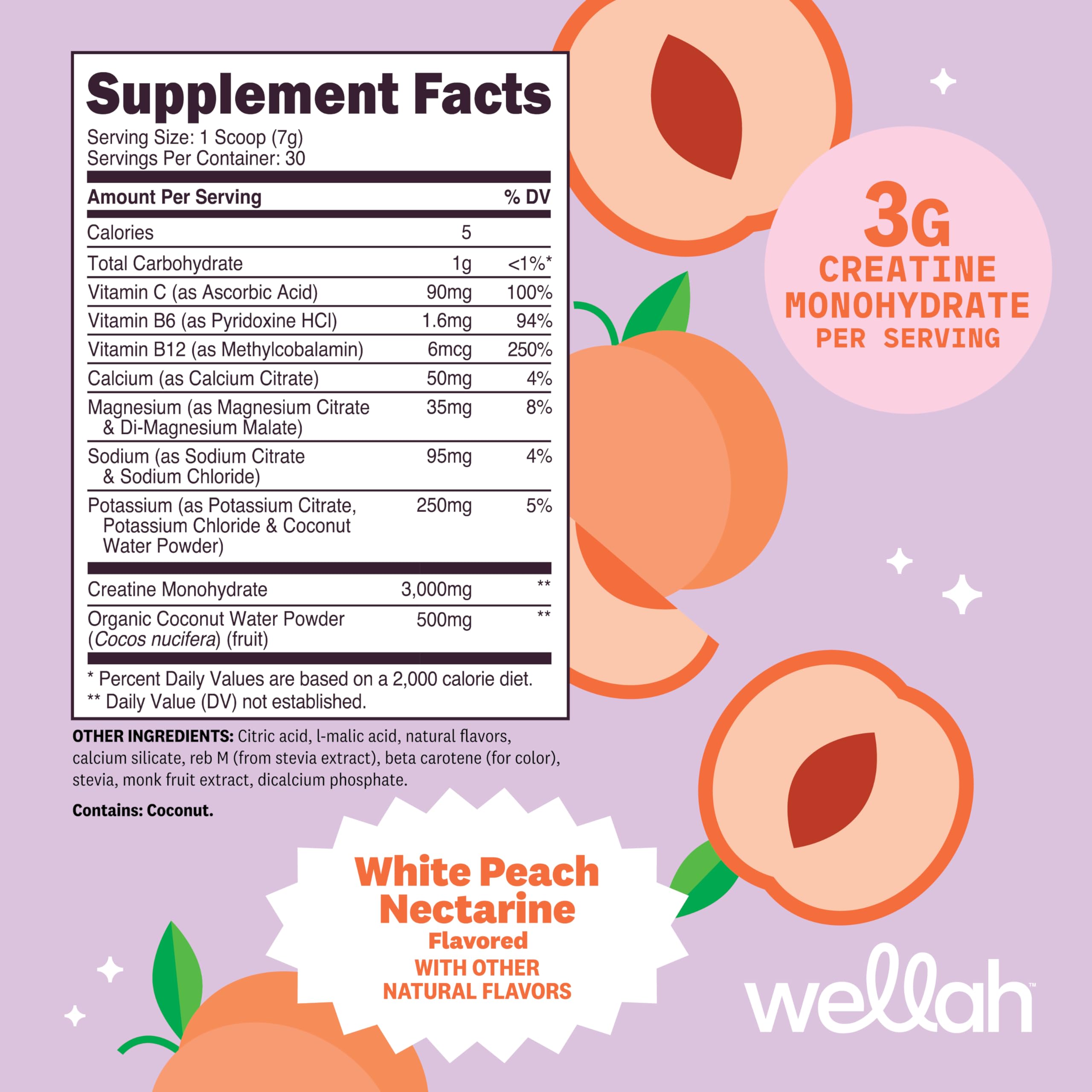 Wellah Creatine + Electrolytes Powder back view showing ingredients