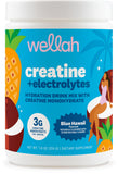 Wellah Creatine + Electrolytes Powder Blue Hawaii front view