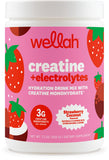 Wellah Creatine + Electrolytes Powder front view with Tropical Strawberry Coconut flavour