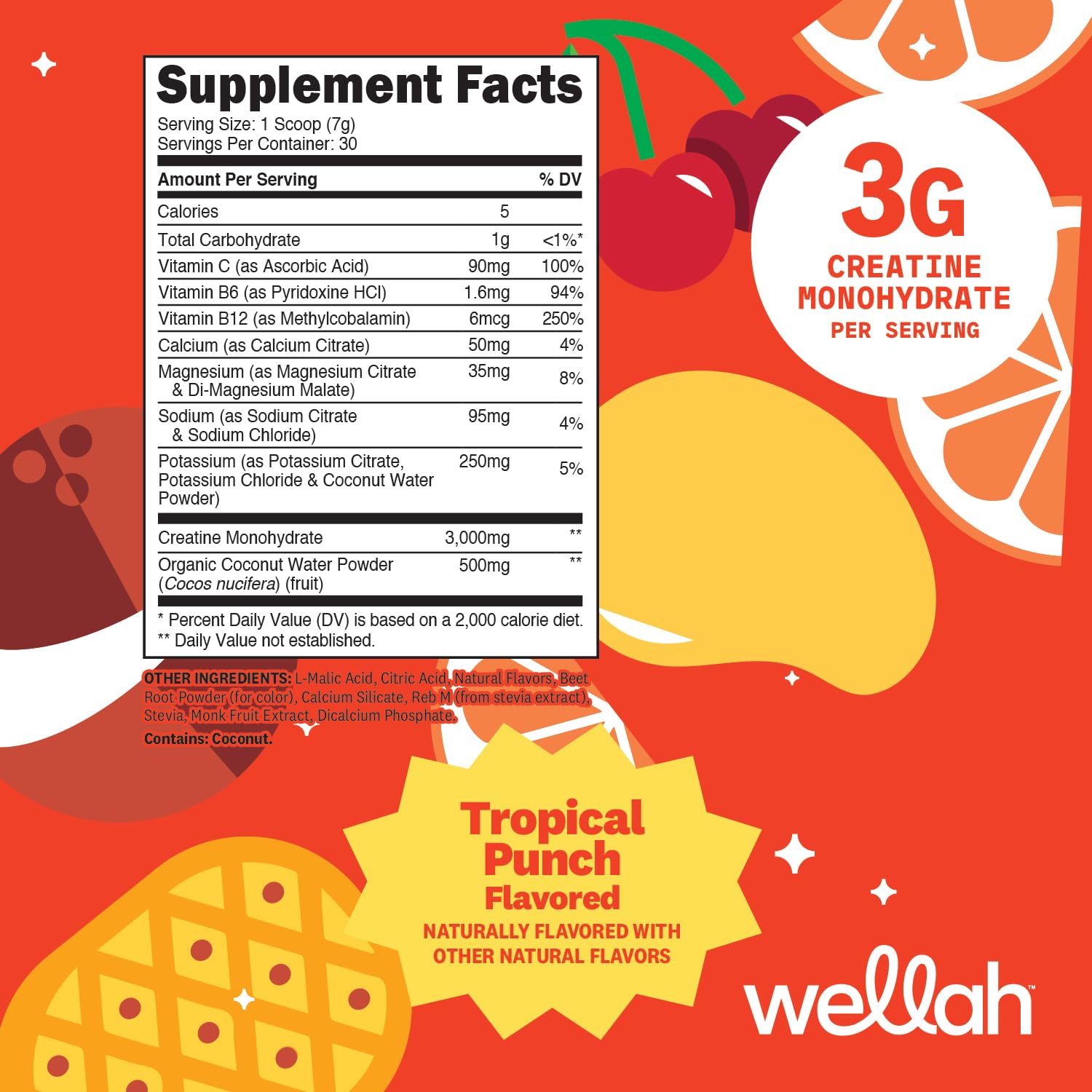 Wellah Creatine + Electrolytes Powder Fruit Punch bottle side view