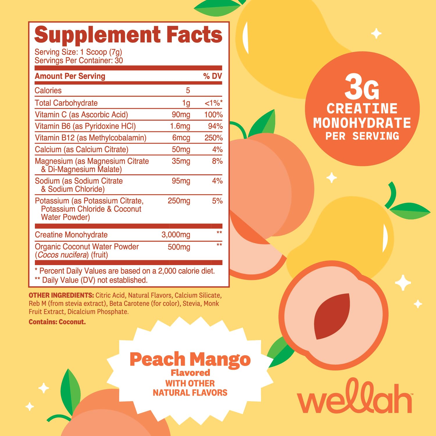 Wellah Creatine + Hydration Powder Peach Mango back view