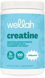 Wellah Creatine Monohydrate 422g front view