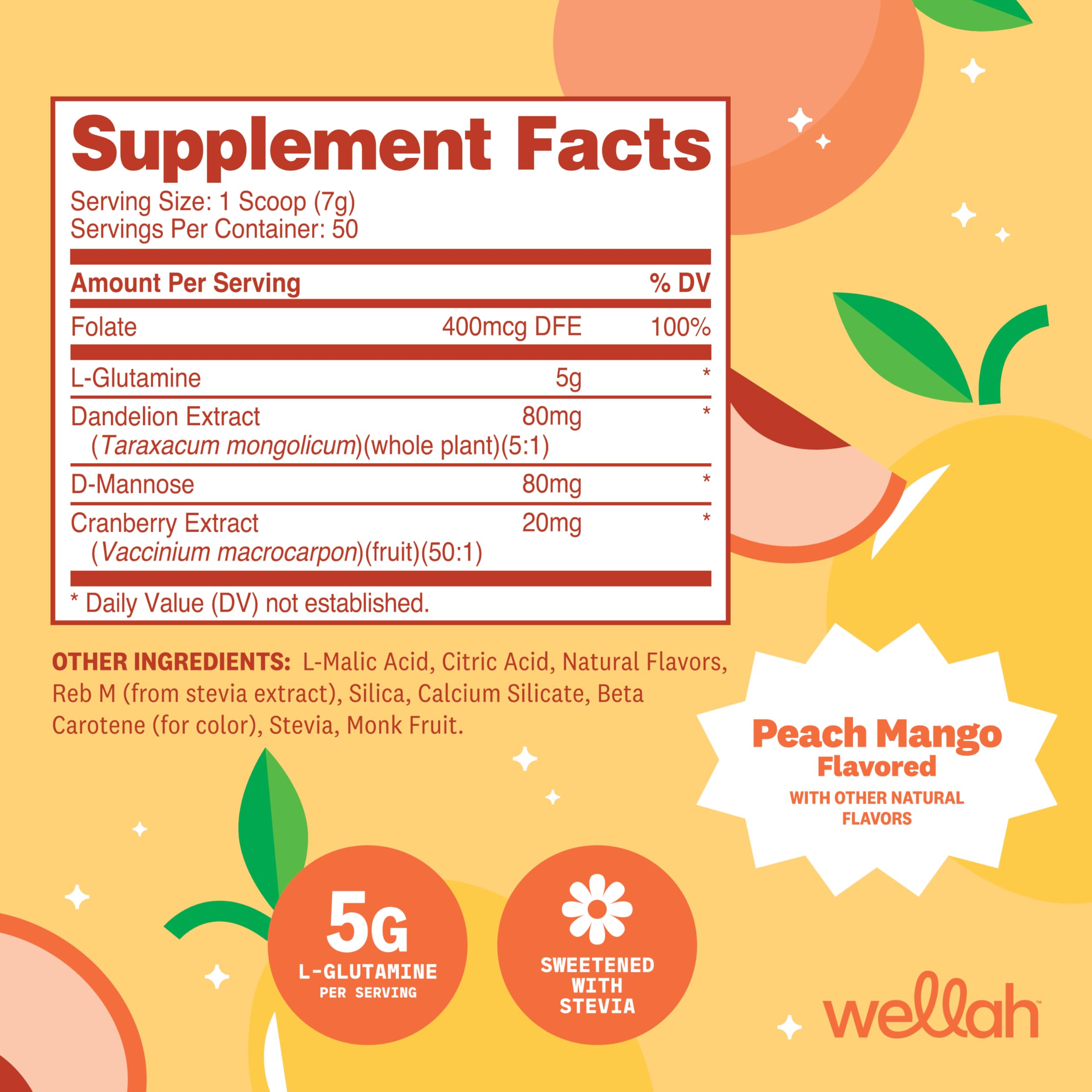 Wellah L-Glutamine Powder packaging side view