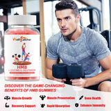 Wellcatcher HMB & Leucine Gummies in a hand