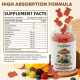 Wellcatcher Mushroom Gummies showing ingredients list