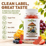 Wellcatcher Mushroom Gummies with fruits