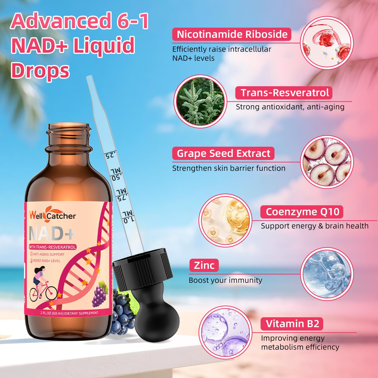 Wellcatcher NAD+ Liquid Supplement 600mg ingredients list