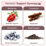 WellForge Berberine Phytosome Supplement back view