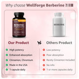 WellForge Berberine Phytosome Supplement ingredients list