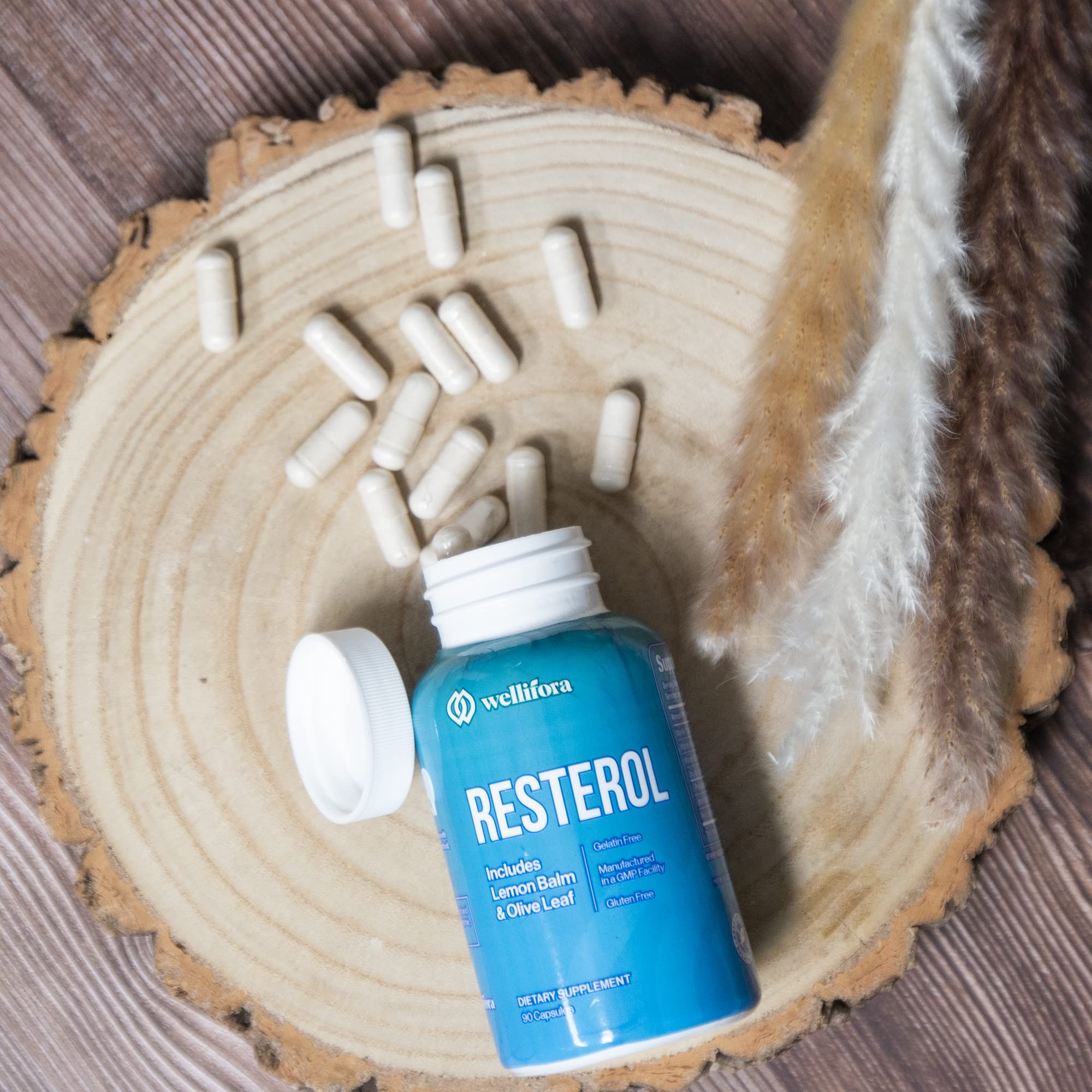 Wellifora Melanin Support Capsules ingredients list close-up