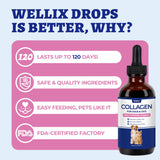 Wellix Collagen Drops bottle showing liquid texture